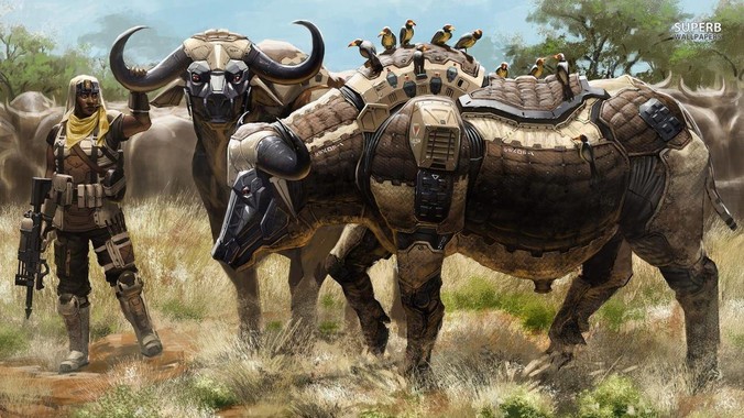 吃黑巧克力到底减肥么？